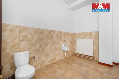 Pronájem obchodních prostor, 740 m² - 8