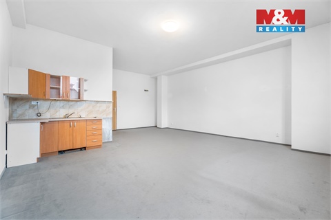 Pronájem obchodních prostor, 740 m² - 18