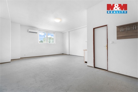 Pronájem obchodních prostor, 740 m² 18