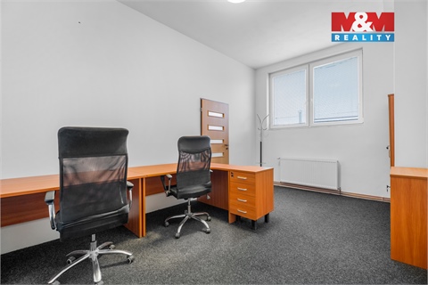 Pronájem obchodních prostor, 740 m² - 14