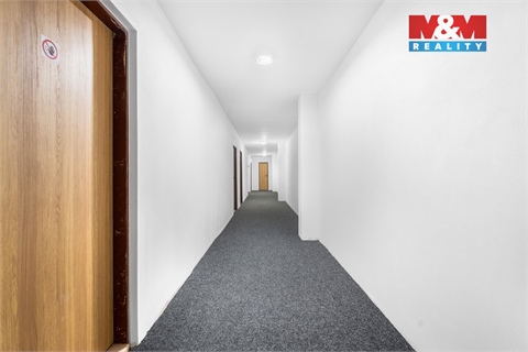 Pronájem obchodních prostor, 740 m² - 10