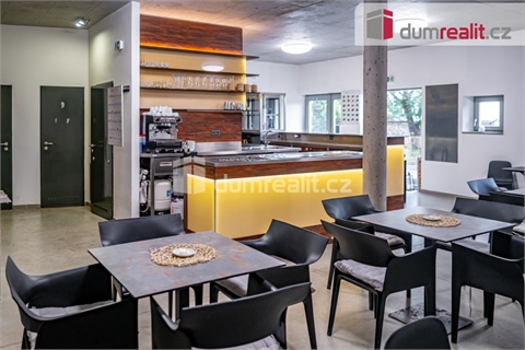 Pronájem obchodních prostor, 264 m² 6