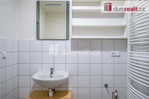 Pronájem obchodních prostor, 264 m² - 12