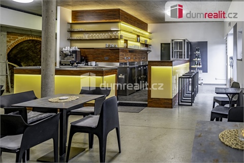 Pronájem obchodních prostor, 264 m² 4