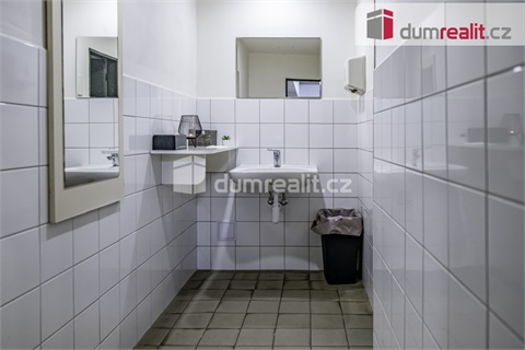 Pronájem obchodních prostor, 264 m² 12