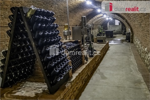 Pronájem obchodních prostor, 264 m² 10