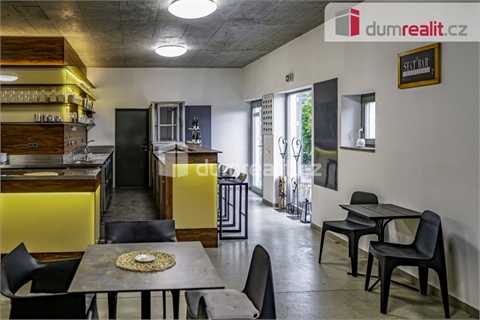 Pronájem obchodních prostor, 264 m² - 4