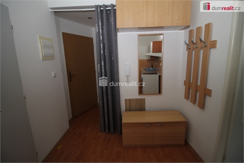 Pronájem bytu 1+1, 45 m² - 8