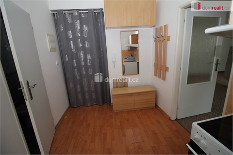 Pronájem bytu 1+1, 45 m² 8