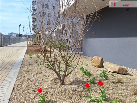 Pronájem garáže, 12 m² 4