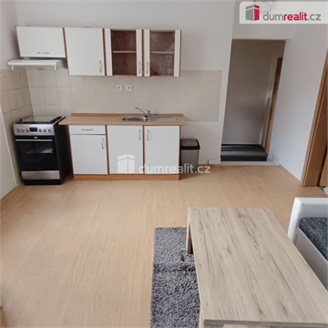 Pronájem bytu 1+1, 44 m² 0