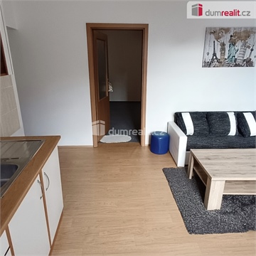 Pronájem bytu 1+1, 44 m² 2