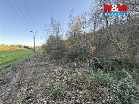 Prodej lesu, 1 901 m² 10