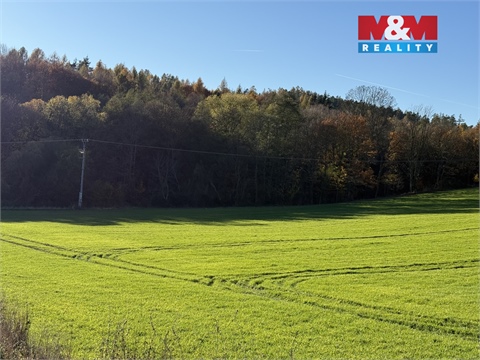 Prodej lesu, 1 901 m² - 10