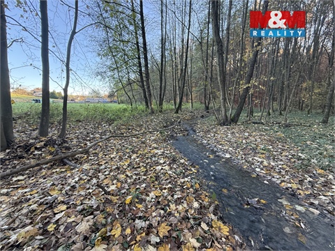 Prodej lesu, 1 901 m² - 0