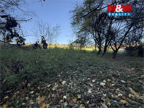 Prodej lesu, 1 901 m² 6