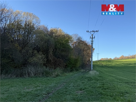 Prodej lesu, 1 901 m² - 4