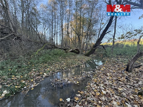 Prodej lesu, 1 901 m² - 6