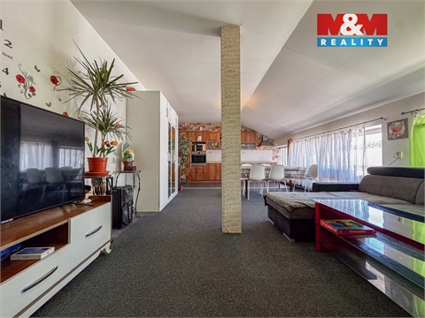 Prodej obchodních prostor, 743 m² 6