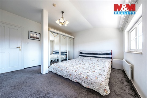 Pronájem rodinného domu, 395 m² 12