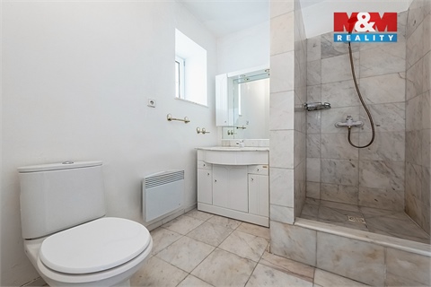 Pronájem rodinného domu, 395 m² 16