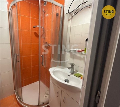 Pronájem bytu 2+1, 50 m² 8