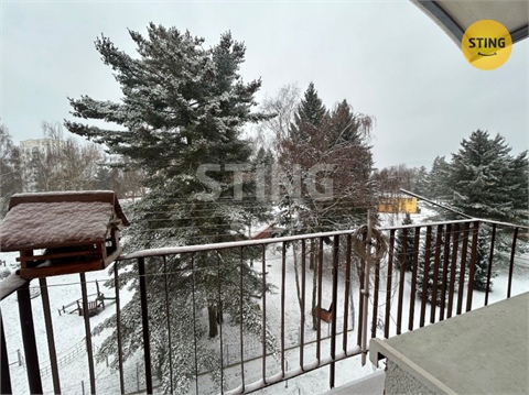 Pronájem bytu 2+1, 50 m² 12