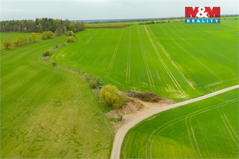 Prodej louky, 730 m² 2