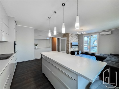 Pronájem bytu 4kk, 228 m² 4