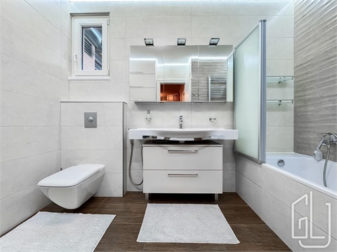 Pronájem bytu 4kk, 228 m² - 10