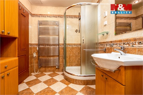 Prodej bytu 5+1, 176 m² 14