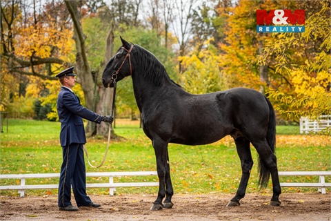 Prodej chaty / chapuly, 36 m² - 14