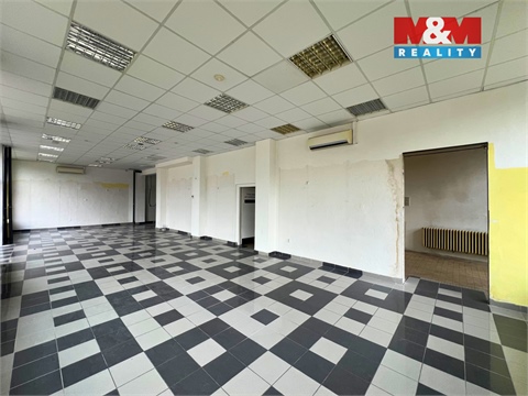 Pronájem obchodních prostor, 144 m² - 8