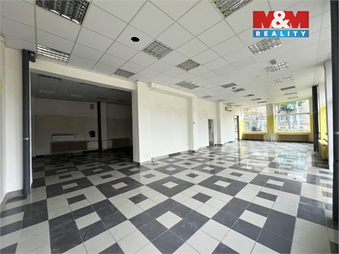 Pronájem obchodních prostor, 144 m² - 10