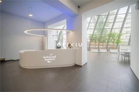 Pronájem kanceláře, 442 m² 0