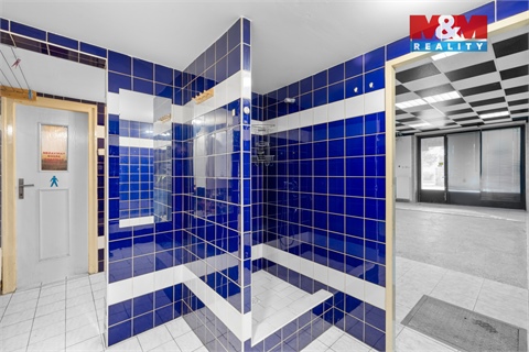 Pronájem obchodních prostor, 350 m² - 14