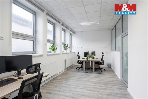 Pronájem obchodních prostor, 350 m² - 8
