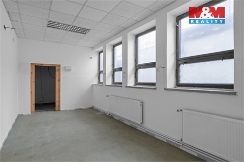Pronájem obchodních prostor, 350 m² 10