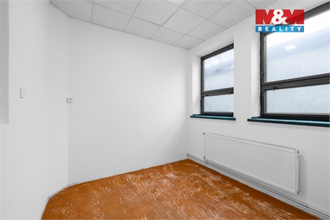 Pronájem obchodních prostor, 350 m² - 10