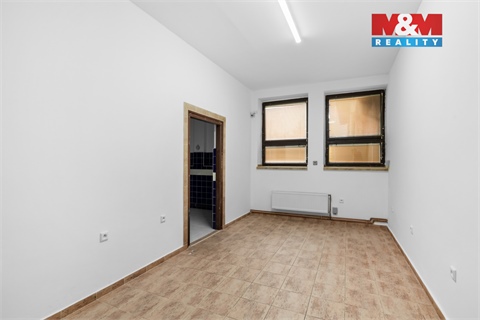 Pronájem obchodních prostor, 350 m² - 12