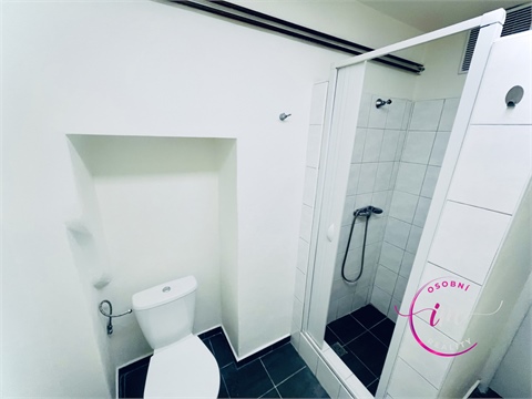 Pronájem bytu 1+1, 43 m² - 4