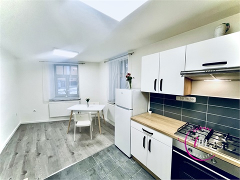 Pronájem bytu 1+1, 43 m² - 0