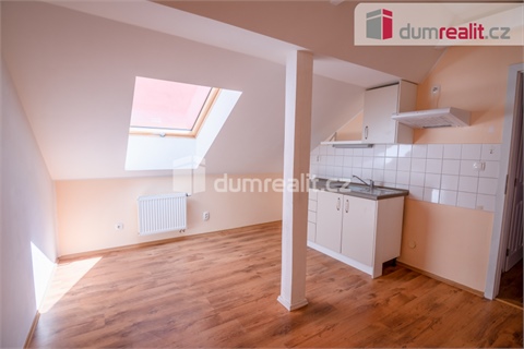 Pronájem bytu 1+1, 53 m² 2