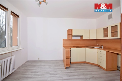 Pronájem bytu 1+1, 35 m² 8