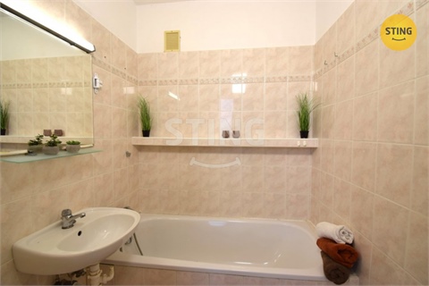 Pronájem bytu 3+1, 66 m² 12