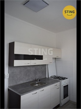 Pronájem bytu 1+1, 40 m² 4