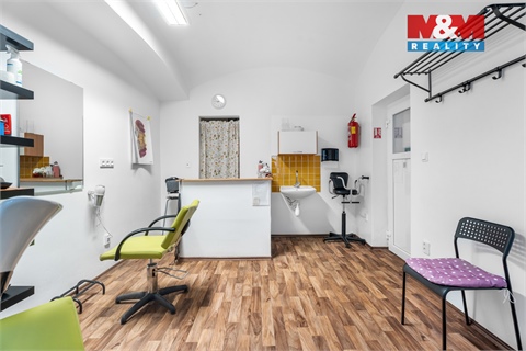 Prodej komerčního objektu, 245 m² 4