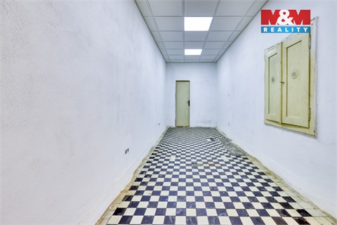 Pronájem obchodních prostor, 183 m² 8