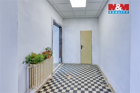 Pronájem obchodních prostor, 183 m² - 14