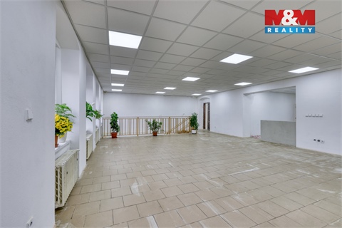 Pronájem obchodních prostor, 183 m² 6